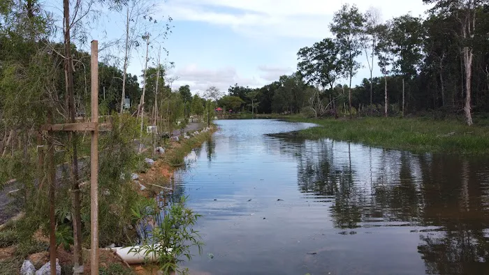 Taman Wetland Paya Gelam Pasir Mas Picture 6