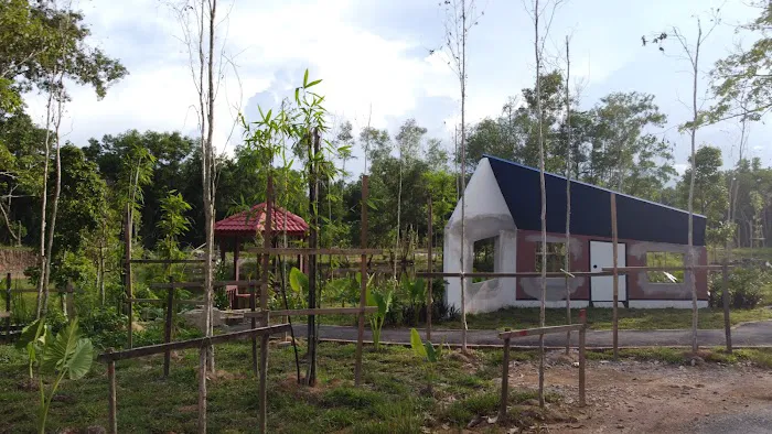 Taman Wetland Paya Gelam Pasir Mas Picture 8