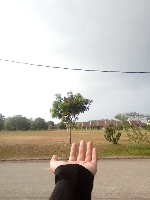 Kiambangsari 1, Bandar Baru Sungai Buaya Picture 2