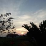 Kiambangsari 1, Bandar Baru Sungai Buaya