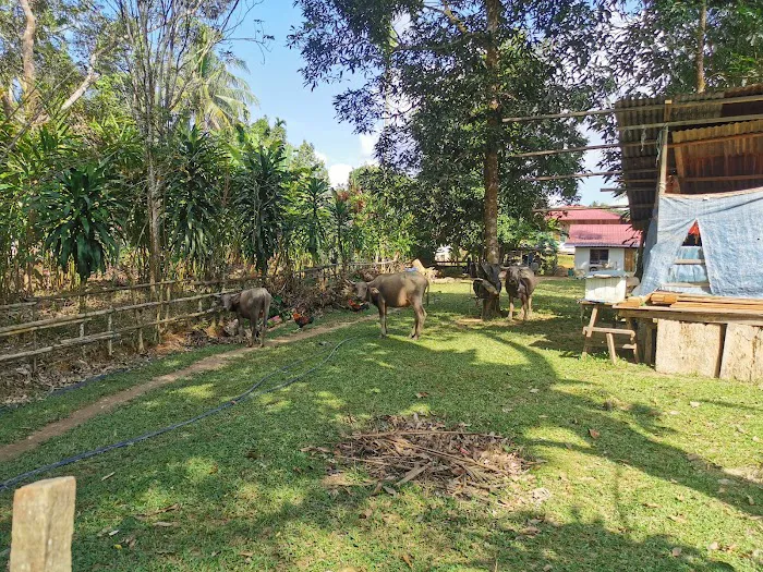 Masjid Kampung Gusai Picture 7