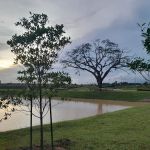 Serenity Park