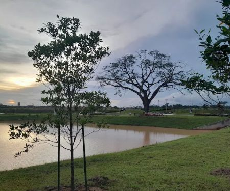 Serenity Park