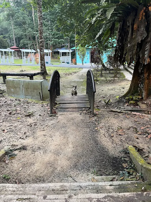 Ulu Bendul-Angsi trailhead Picture 10