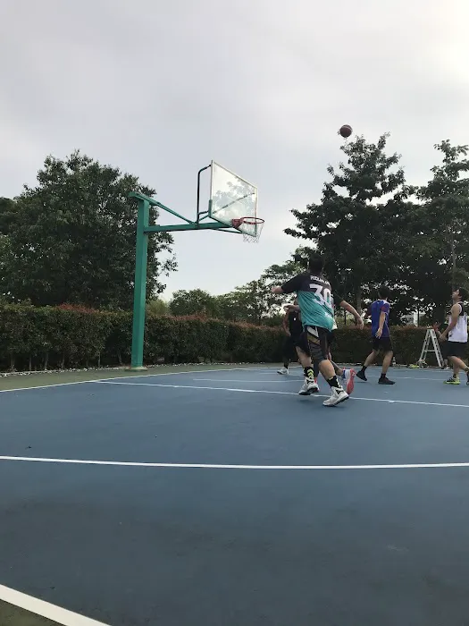 Giverny Park basketball court Picture 9
