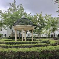 Monet Lily Fish Pond ico