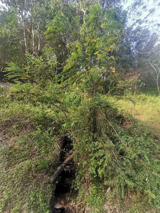 Bukit Kelinchi Picture 1