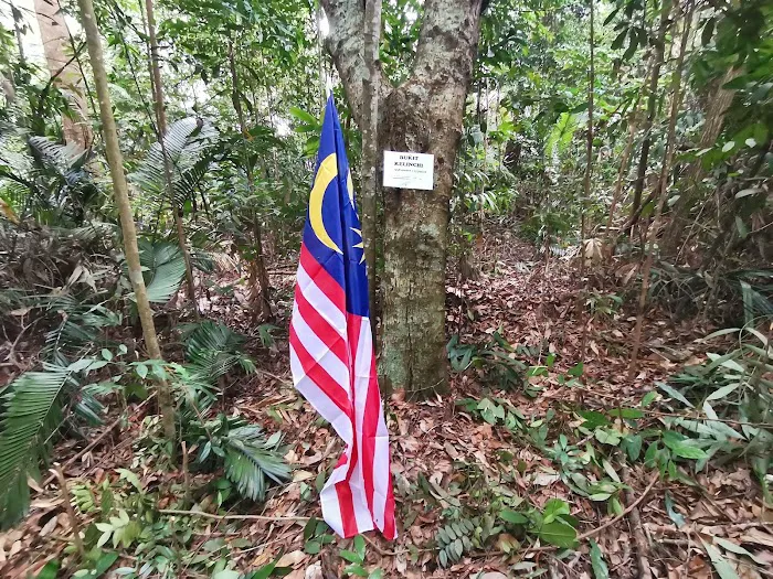 Bukit Kelinchi Picture 3