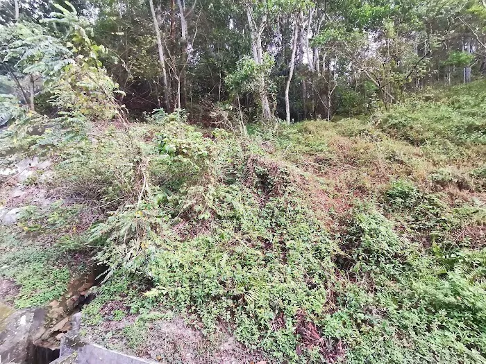 Bukit Kelinchi Picture 4