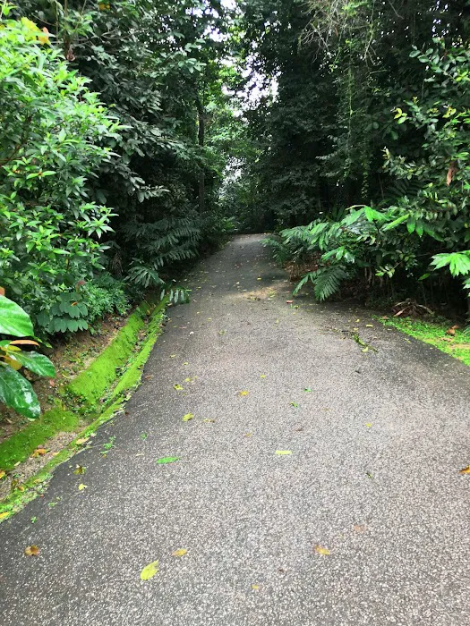 Denai Hutan Picture 6