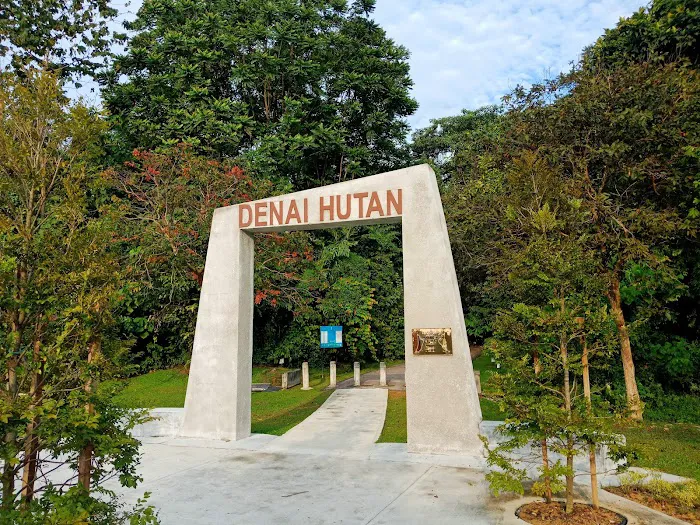 Denai Hutan Picture 5
