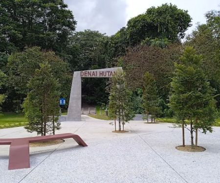 Denai Hutan
