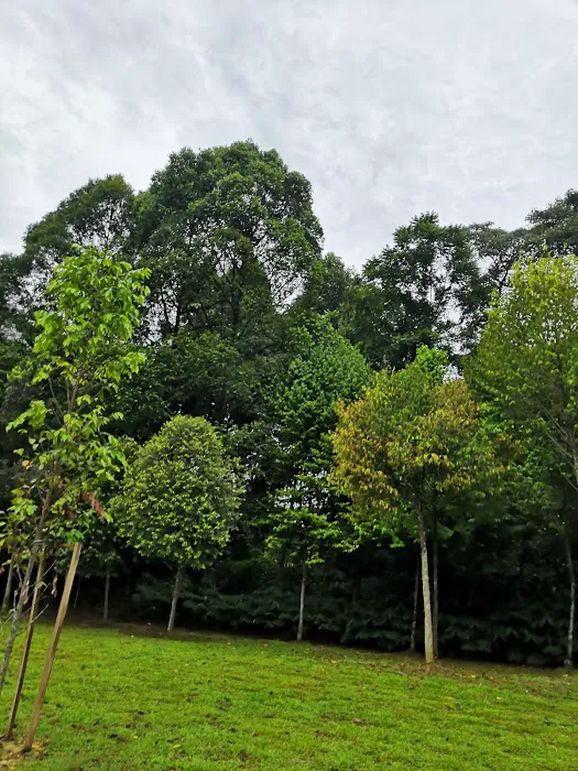 Denai Hutan Picture 8
