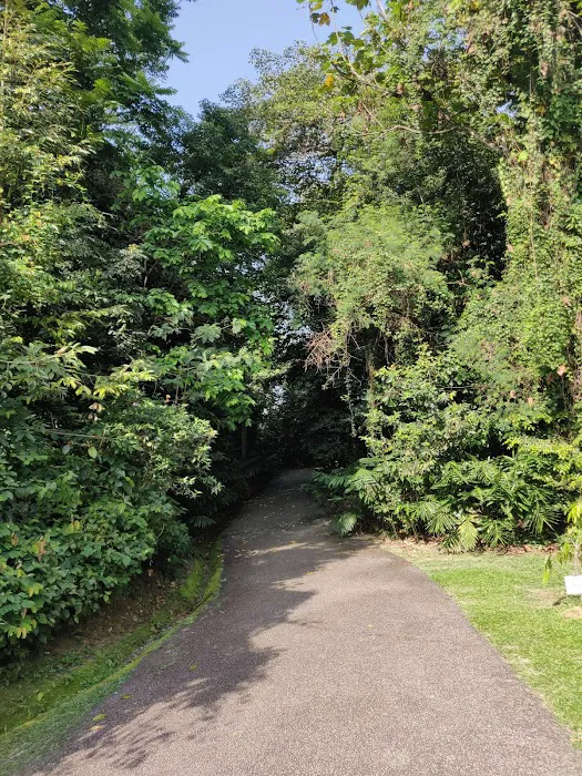 Padang Kota Damansara Picture 2