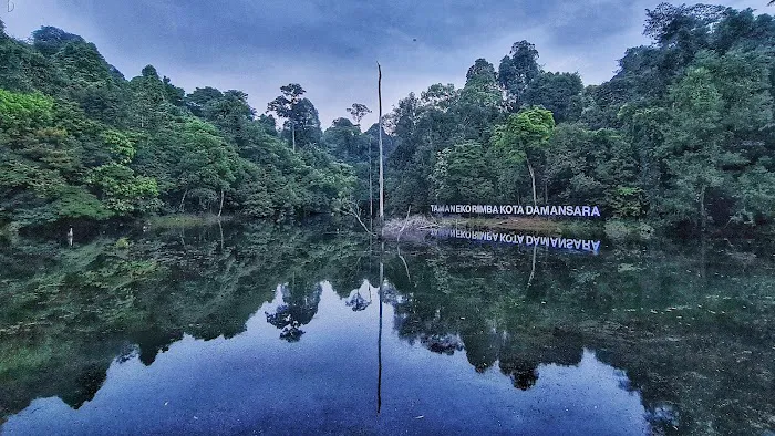 Kota Damansara Community Forest Picture 4