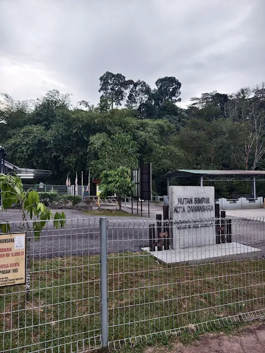 Kota Damansara Community Forest Picture 9