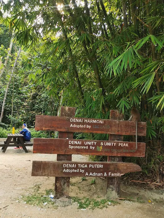 Kota Damansara Community Forest Picture 7