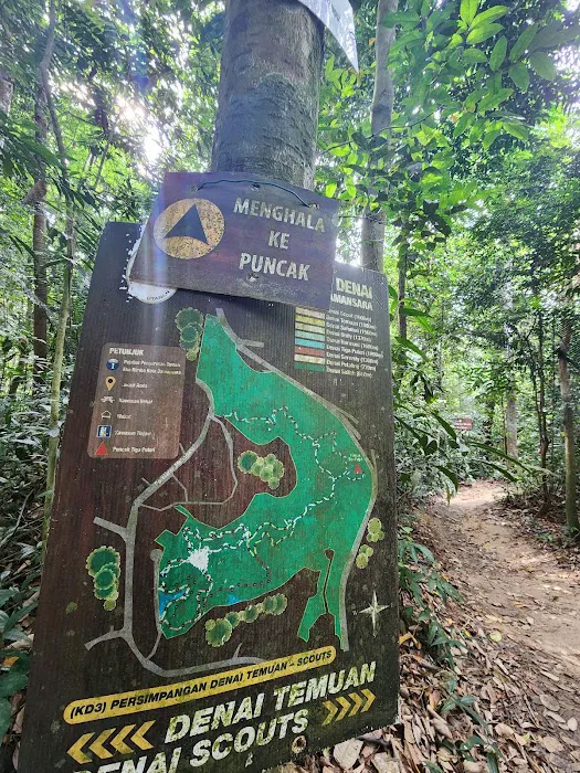 Kota Damansara Community Forest Picture 10