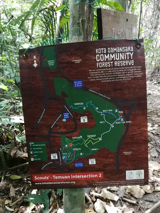 Kota Damansara Community Forest Picture 5