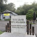 Denai 3 Puteri Trail