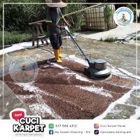 My Carpet Cleaning Services ico