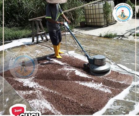 My Carpet Cleaning Services