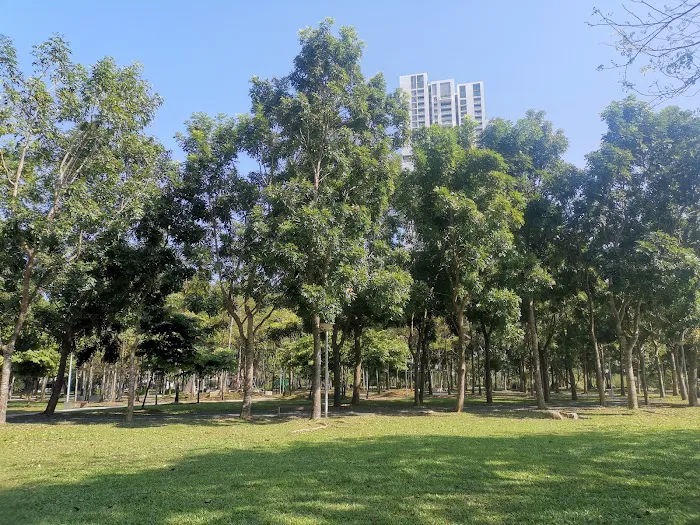 The West Park Picture 8