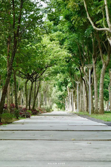 The West Park Picture 7