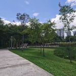 The Central Park