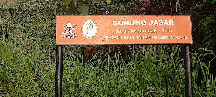 Hutan Simpan Mentigi Picture 8