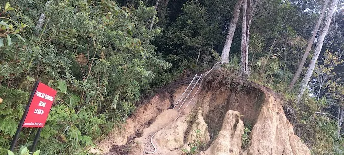 Hutan Simpan Mentigi Picture 6