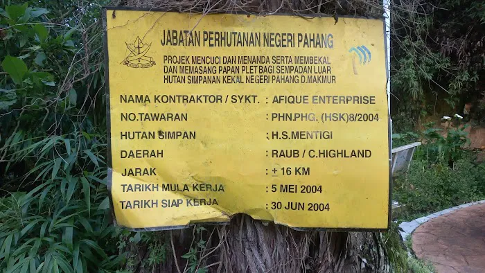 Hutan Simpan Mentigi Picture 7