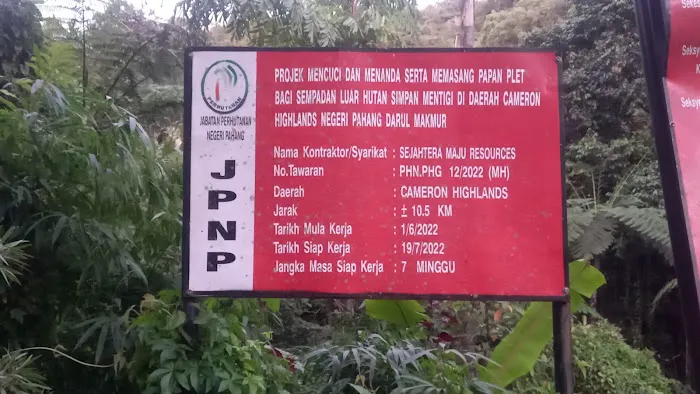 Hutan Simpan Mentigi Picture 5