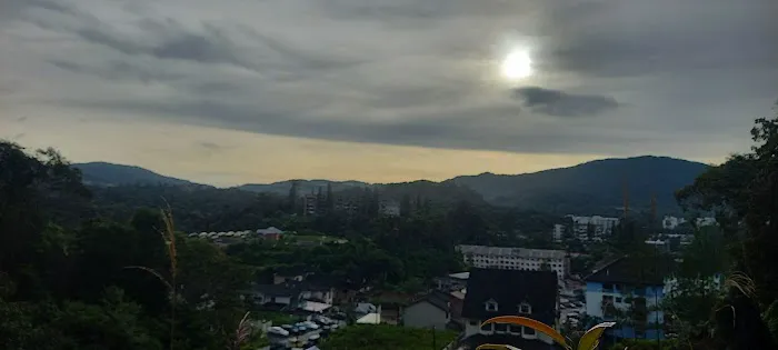 Hutan Simpan Mentigi Picture 1
