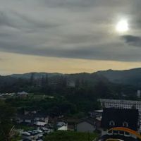 Hutan Simpan Mentigi ico
