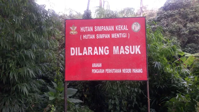 Hutan Simpan Mentigi Picture 3