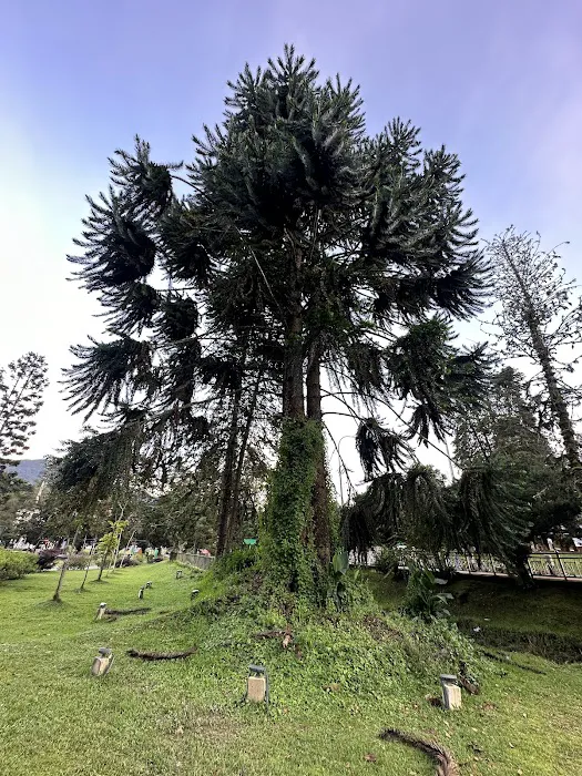 Coronation Park (Taman Pertabalan) Tanah Rata Picture 1