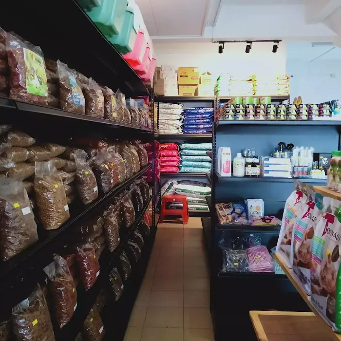 Oh my cat pet shop Picture 1