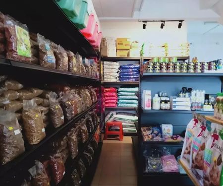 Oh my cat pet shop