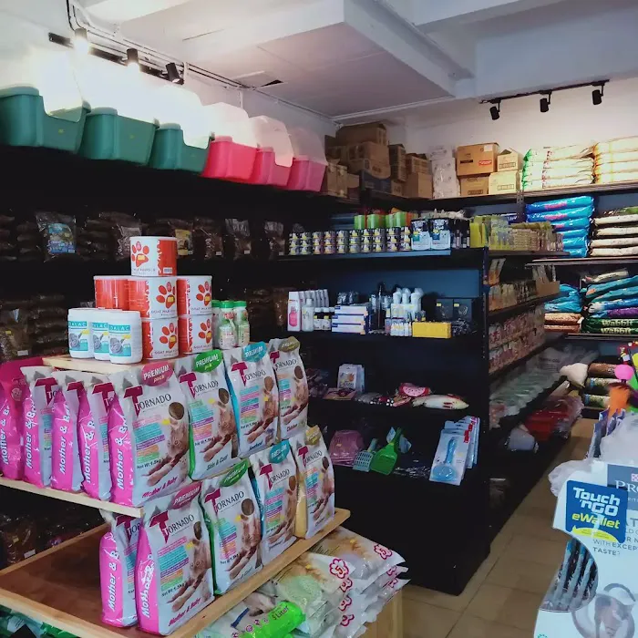 Oh my cat pet shop Picture 3