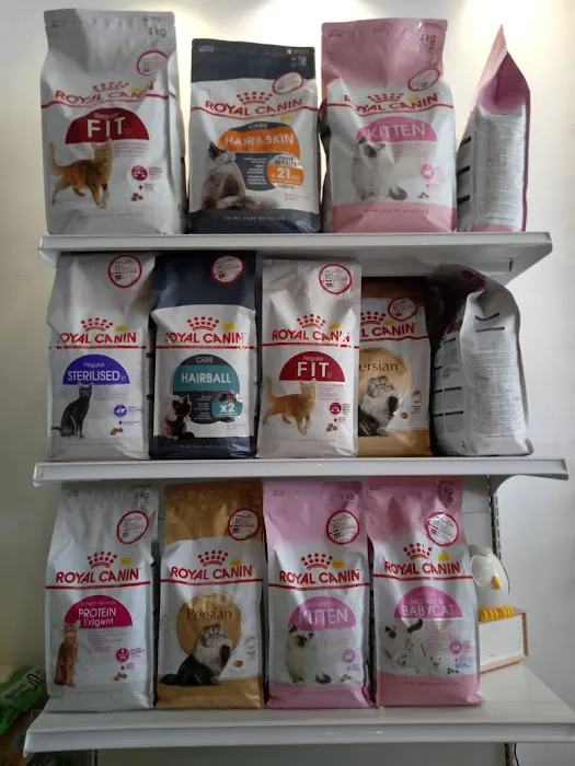 Oh my cat pet shop Picture 10