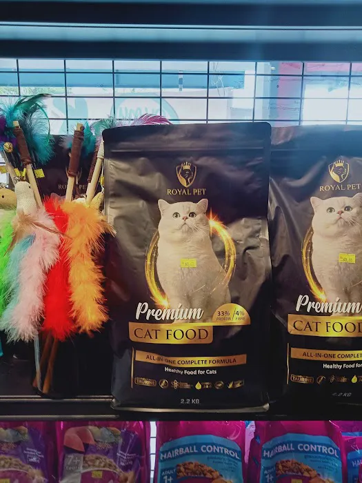 Oh my cat pet shop Picture 9