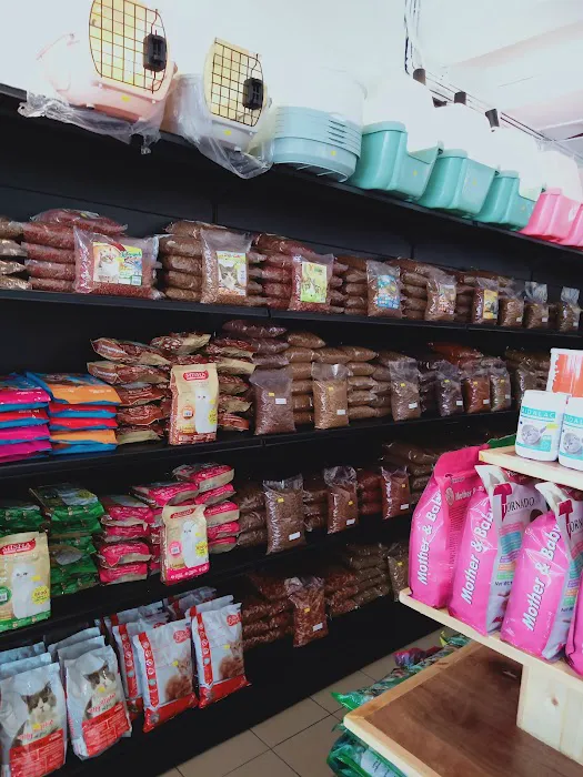 Oh my cat pet shop Picture 5