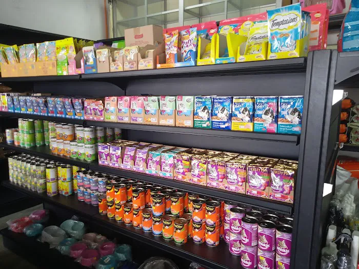 Oh my cat pet shop Picture 6