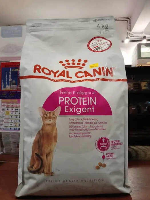 Oh my cat pet shop Picture 8