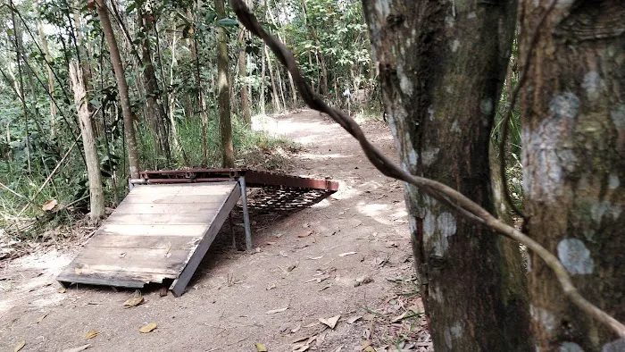 D'Kebun MTB Trail Kajang Picture 1