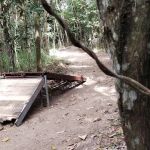 D'Kebun MTB Trail Kajang