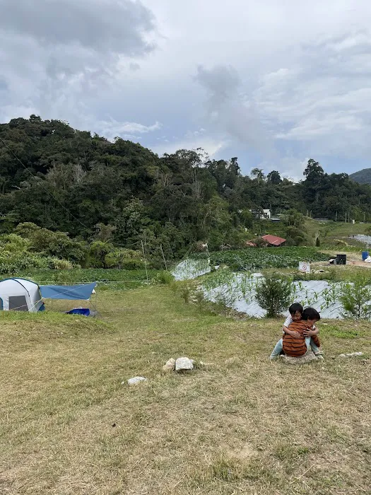 Pine Valley Villa & Camper Site Picture 4
