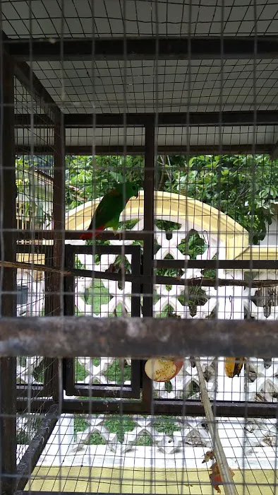 Masjid Ikram Picture 5