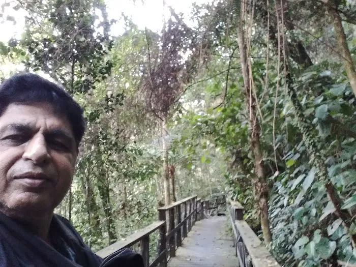 Parit waterfall Picture 7